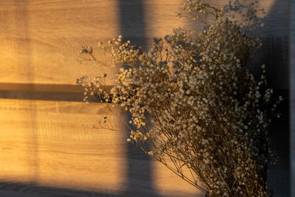 Lieblingsquartier Sankt Andreasberg Studio 9 エクステリア 写真